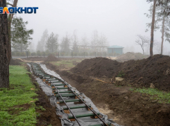 Волгоградское УФАС вмешалось в «аттракцион неслыханной земельной щедрости» от властей Котово