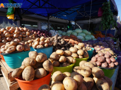 Пять продуктов рухнули в цене в Волгоградской области