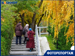 Вместо солнца золотом горит листва в Волгограде: яркие кадры октября