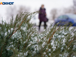 Резкие перепады температуры воздуха ожидаются 8 февраля в Волгоградской области