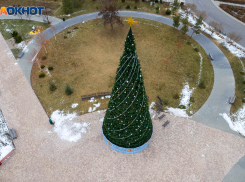 Шатер для ели и украшения за 3,5 млн покупают в Волгограде