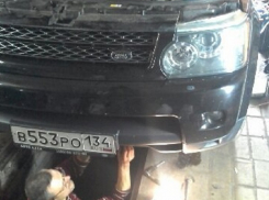 В автомастерской Волгограда разобрали Land Rover, чтобы спасти застрявшего котенка