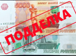 О распространении фальшивых купюр предупредили волгоградцев 