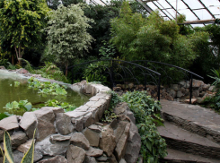 Оранжерея с водопадом и кусочком барселонского парка открылась в Волгоградском ботсаду