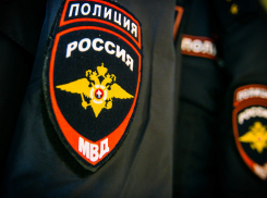 Пенсионерка стала подследственной из-за желания посплетничать с полицейскими под Волгоградом