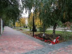 После двух срывов реконструкции на горсад Волгограда хотят потратить еще 95 млн рублей