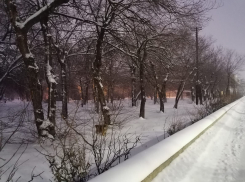 Член общественной палаты призвал волгоградских чиновников начать массовые проверки управляющих компаний