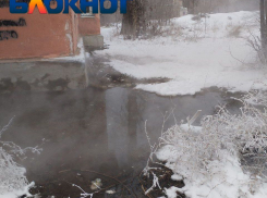 Узникам волгоградского дома ада объявили конец страданий