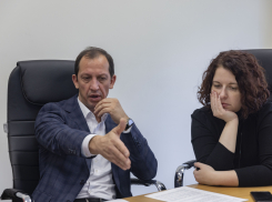 Московские эксперты решают будущее волгоградского мега-проекта на 200 миллиардов