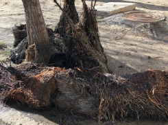 Что скрывается внутри волгоградских колодцев