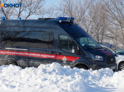 Больше половины волгоградцев посчитали не криминальным секс жены полицейского со школьником