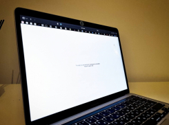 Глобальный сбой рунета погрузил в панику волгоградцев