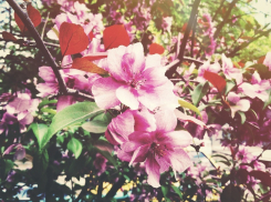 Теплом до +15ºС провожают волгоградцы рабочую неделю