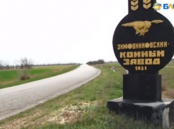 Как на Дону убивали лучший в стране конезавод и резали на колбасу элитные породы коней