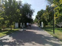 Всего два десятка волгоградцев выбрали арт-объект для Комсомольского сада