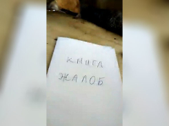 Доведенный волгоградцем до тихой истерики продавец нарисовал книгу жалоб и попал на видео