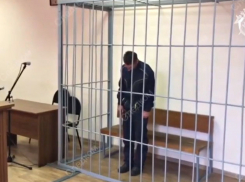 Арест убийцы 16-летней Кристины из Елани сняли на видео
