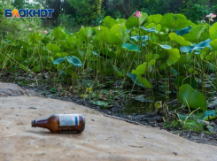 Тотальный запрет введен на алкоголь в Волгограде: список мест