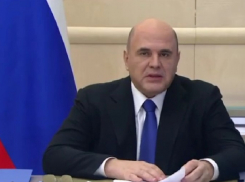 Мишустин призвал волгоградцев перейти на удалёнку