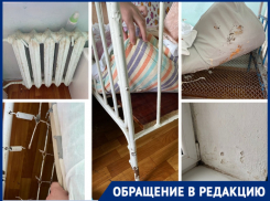 Торчащие пружины, плесень, сломанная кроватка: мать пациента-грудничка о состоянии КБ №8 в Волгограде