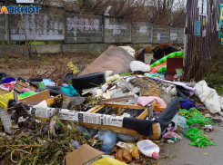 Районная администрация Волгограда потратила 15 млн рублей на ликвидацию стихийных свалок 