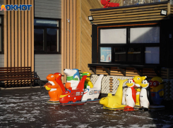 До +2 потеплеет в Волгоградской области в пятницу