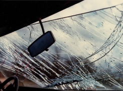 Под Волгоградом погиб водитель ВАЗ-2114 при столкновении с деревом