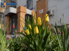 Весам придется разбираться в сексуальных отношениях: чем нужно заняться каждому знаку зодиака в мае 