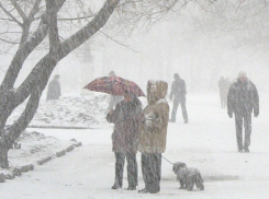 МЧС: В Волгограде ожидается сильный снег, метель и ветер до 20м/с