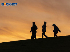 Волгоградцы увидят самый яркий и красивый звездопад 2022 года