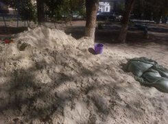 Волгоградцы в соцсетях пристыдили похитителя песка из песочницы