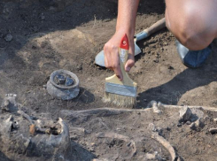 Чиновница «заработала» 21 млн рублей, раскапывая землю под Волгоградом