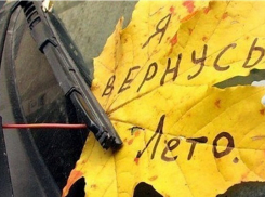 Последний день лета принесет волгоградцам дождь