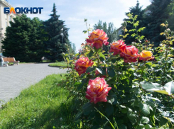 Жара пока не уходит из Волгоградской области 