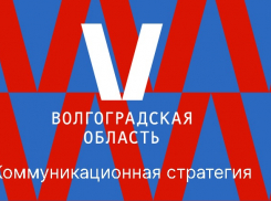 Волгоградский УФАС проверит законность V-бренда за 3,4 миллиона рублей