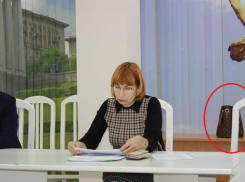 Руководителя волгоградской соцзащиты заметили на совещании с сумкой за 160 тысяч рублей