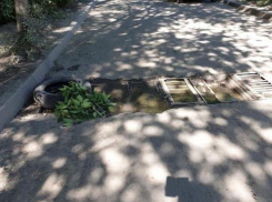 Или лужа, или дырки, – жители Волгограда об «океане Ткачева»