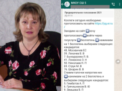 Москвичев, Лихачев, Гимбатов: за кого призывают голосовать бюджетников на праймериз «ЕР» в Котельниково