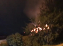 Горящий частный дом в Волгограде попал на видео