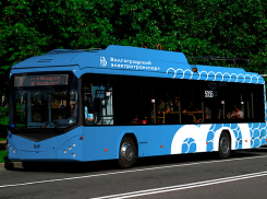 Давка и много безбилетников: волгоградец предсказал минусы нового маршрута троллейбуса №8а