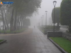 Заморозки до -2 градусов ожидаются в Волгоградской области