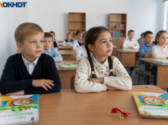 «Плодим Иванушек-болванушек»: волгоградские родители против отмены домашних заданий в 1 классе