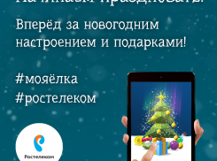 Каждому к Новому году – собственную цифровую ёлку от «Ростелекома»