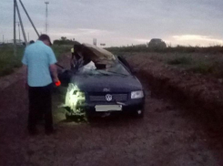 Под Волгоградом в ДТП Volkswagen и Mercedes погибли двое мужчин