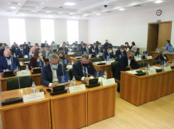 «За уничтожение кур»: в Волгограде могут распустить городскую думу