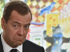 Премьер-министр Дмитрий Медведев 7 августа прилетит в Волгоград