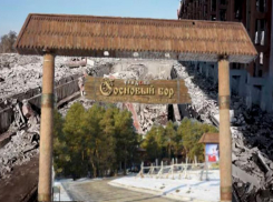 Будущее «Соснового бора» волгоградцы сравнили с разрушенным тракторным заводом 