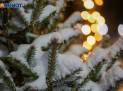 Волгоградские родители взбунтовались против перспективы продления новогодних каникул в школах