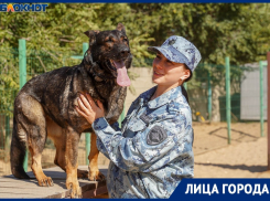 Моё собачье дело: самая веселая полицейская овчарка показала, как раскрывает преступления в Волгограде