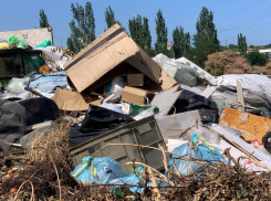 «Беременная ходила за мусоровозом, ругалась с ними»: Волгоград продолжает утопать в мусоре